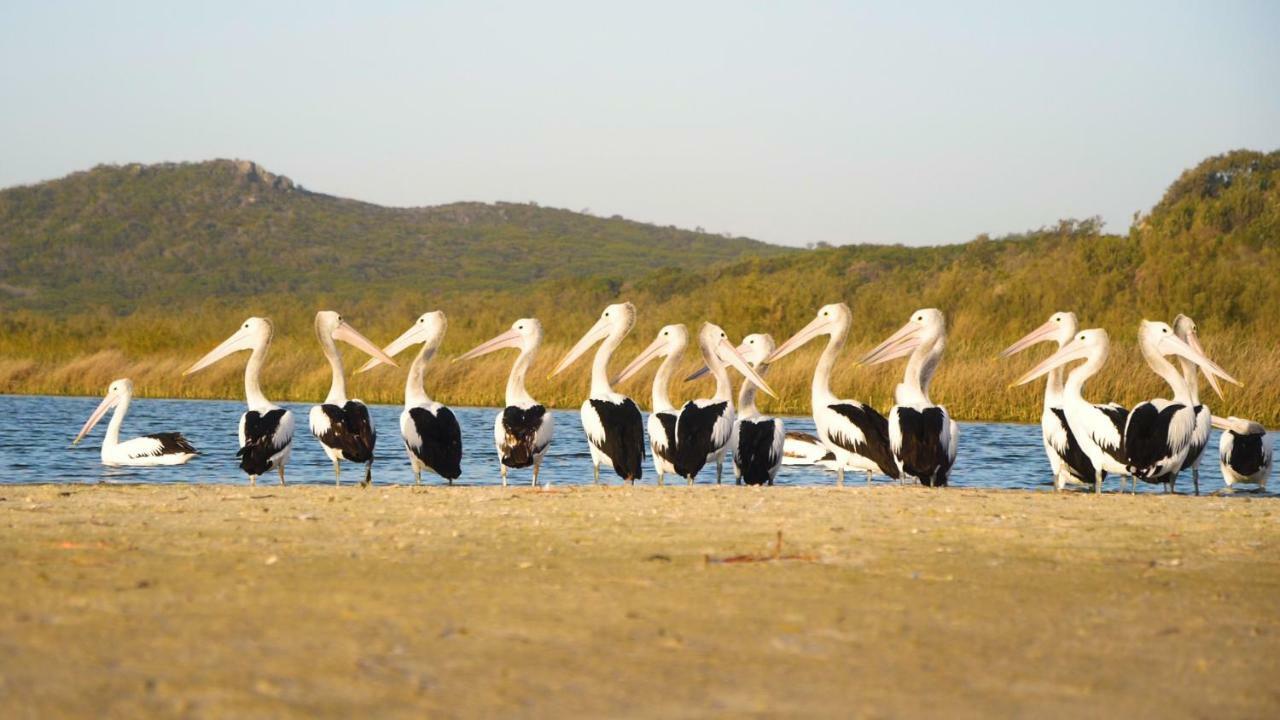 Castaways Moreton Island Bulwer Exteriér fotografie